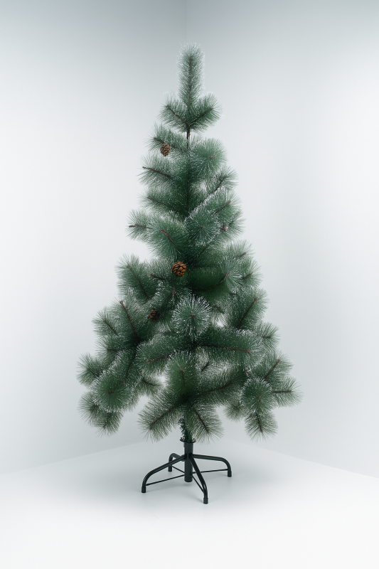 Сосна пушистая с инеем и шишками