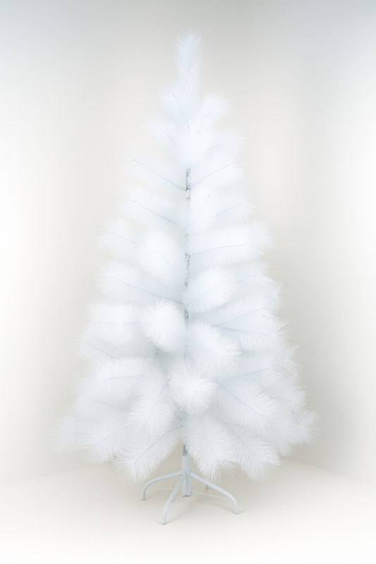 Сосна белая с шишками