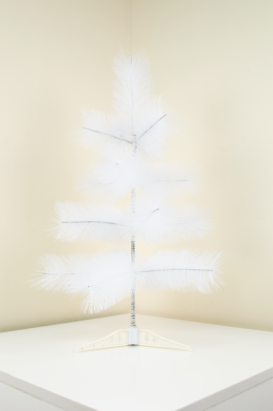 Сосна белая с шишками